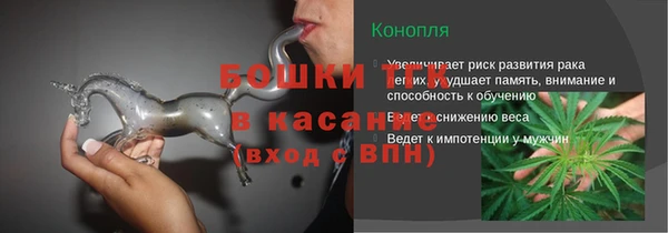 дживик Щёлкино
