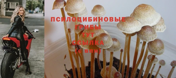 мяу мяу мука Краснотурьинск