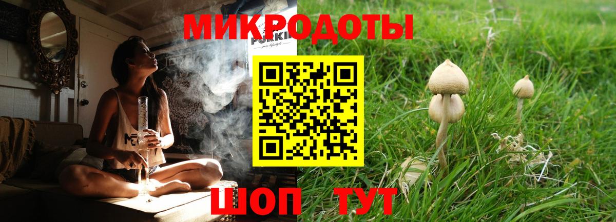 Псилоцибиновые грибы прущие грибы Чебаркуль